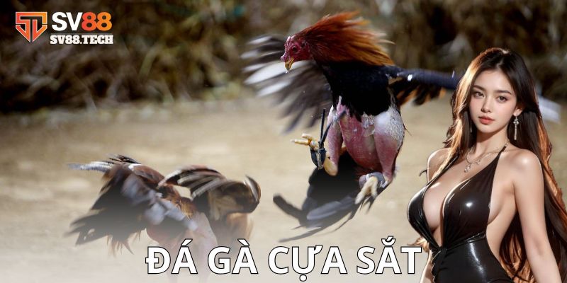 Luật chơi và cách thức thi đấu