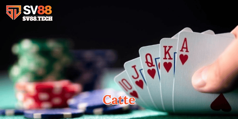 Cách giữ bài mạnh trong Catte