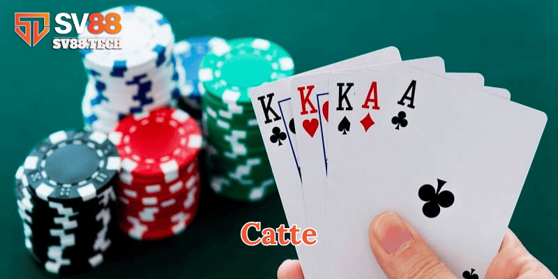 Catte là gì?